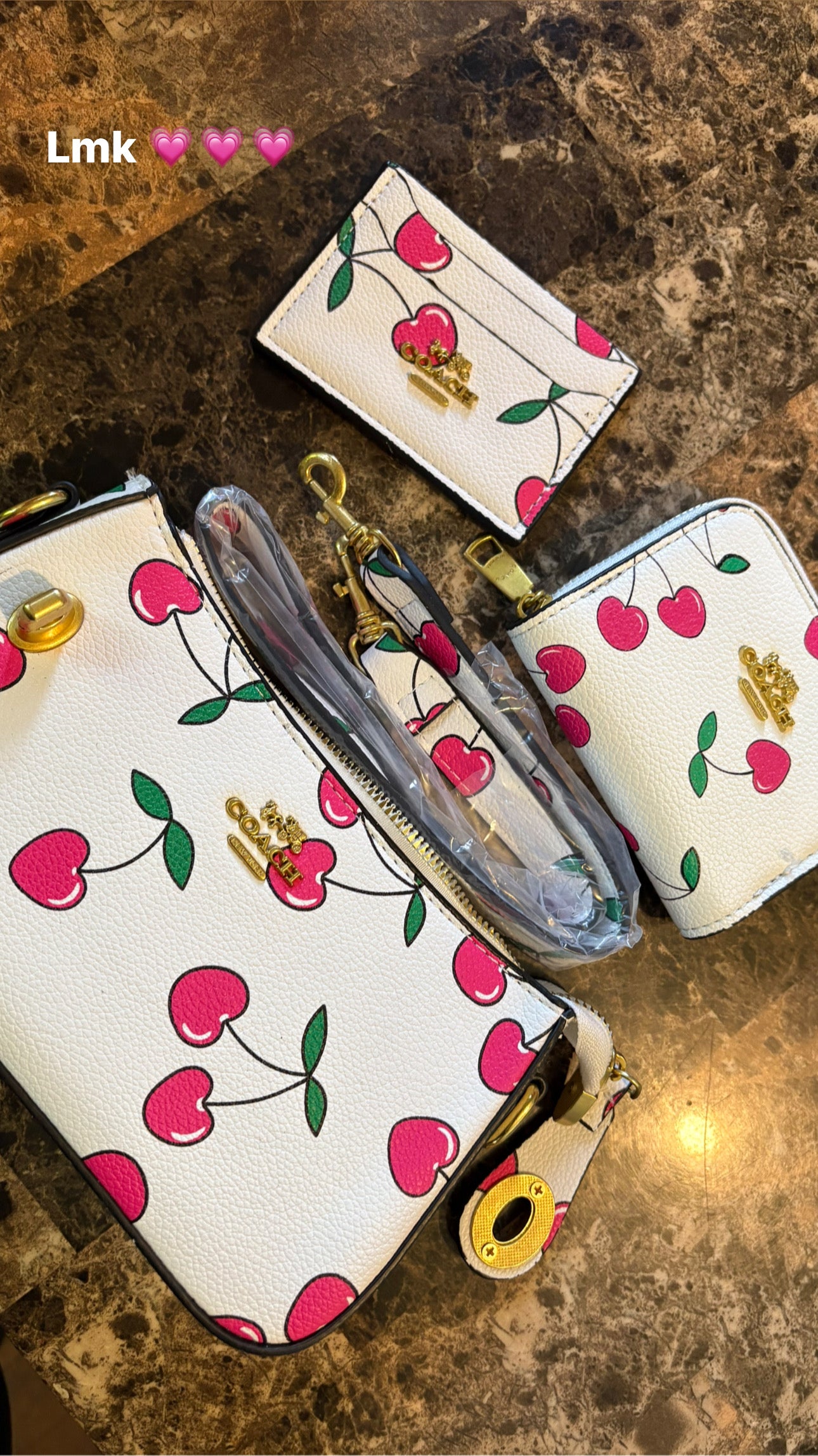 Coach Purse Set