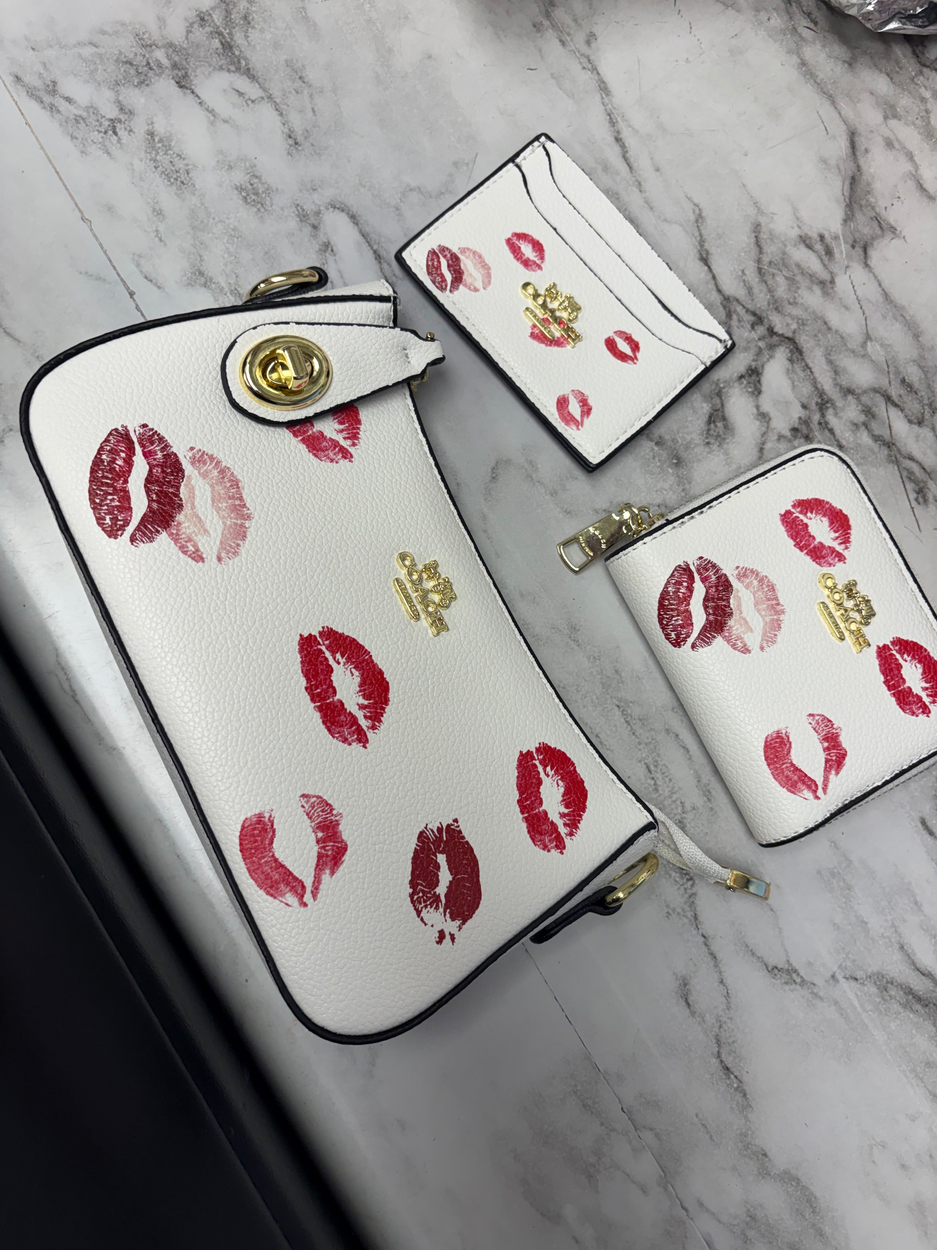 Coach Purse Set