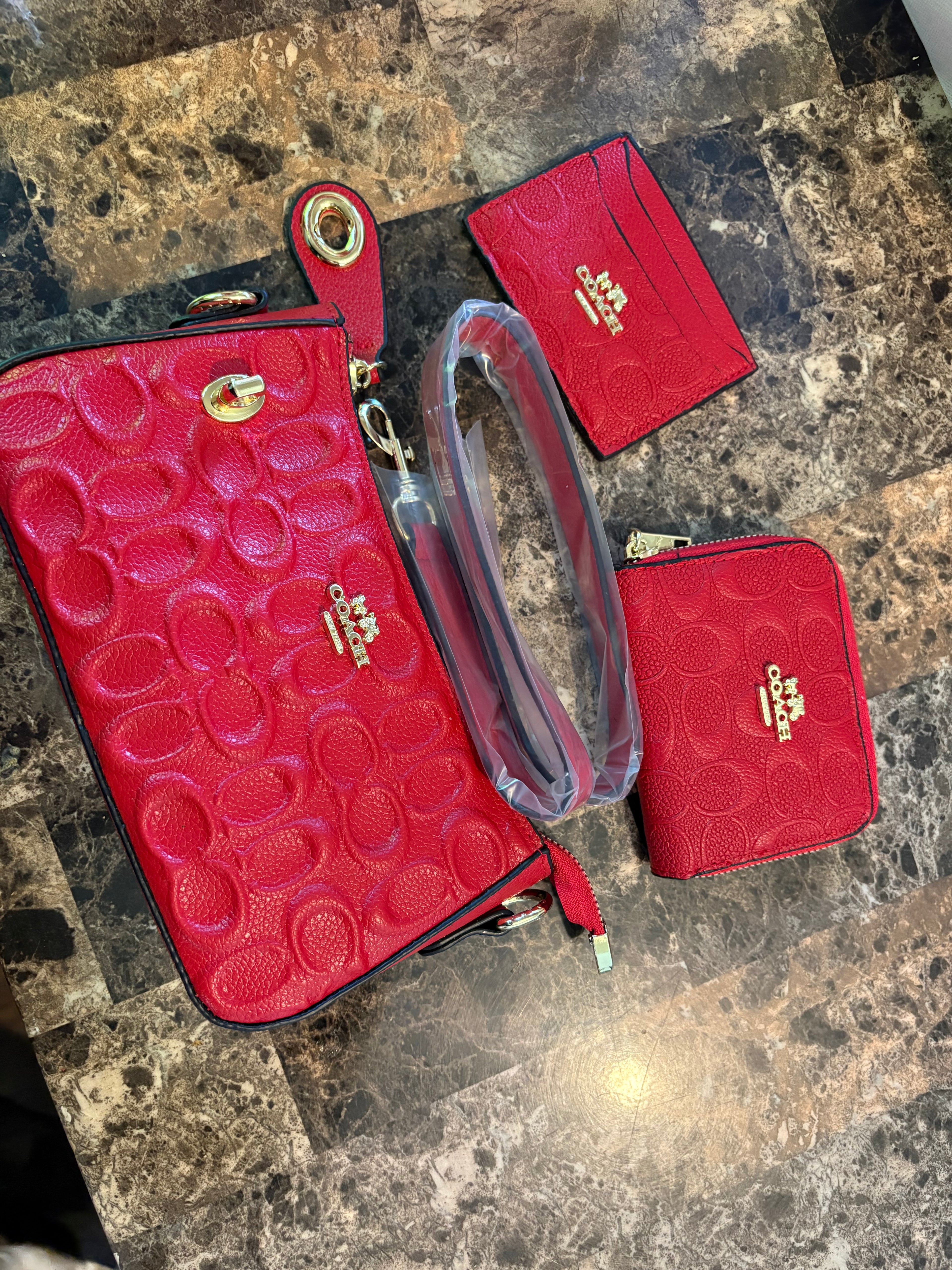 Coach Purse Set